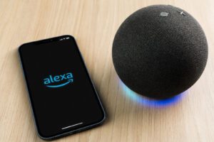 Alexa Controlled Blinds
